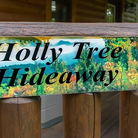 Villa Holly Tree Hideaway - Semi Secluded Mtn Setting à Sevierville Extérieur photo