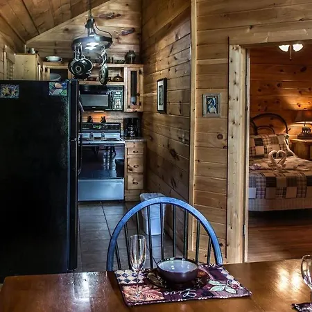 Villa Holly Tree Hideaway - Semi Secluded Mtn Setting à Sevierville Extérieur photo