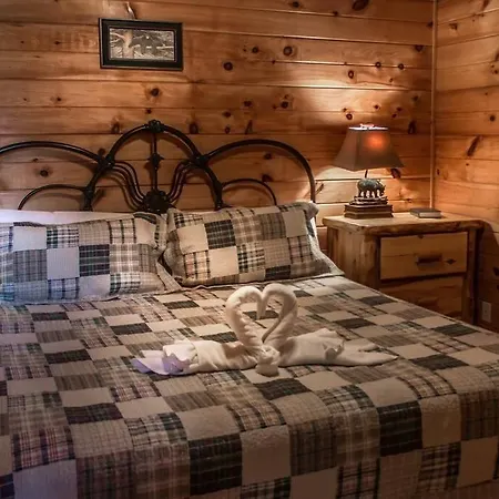 Villa Holly Tree Hideaway - Semi Secluded Mtn Setting à Sevierville Extérieur photo